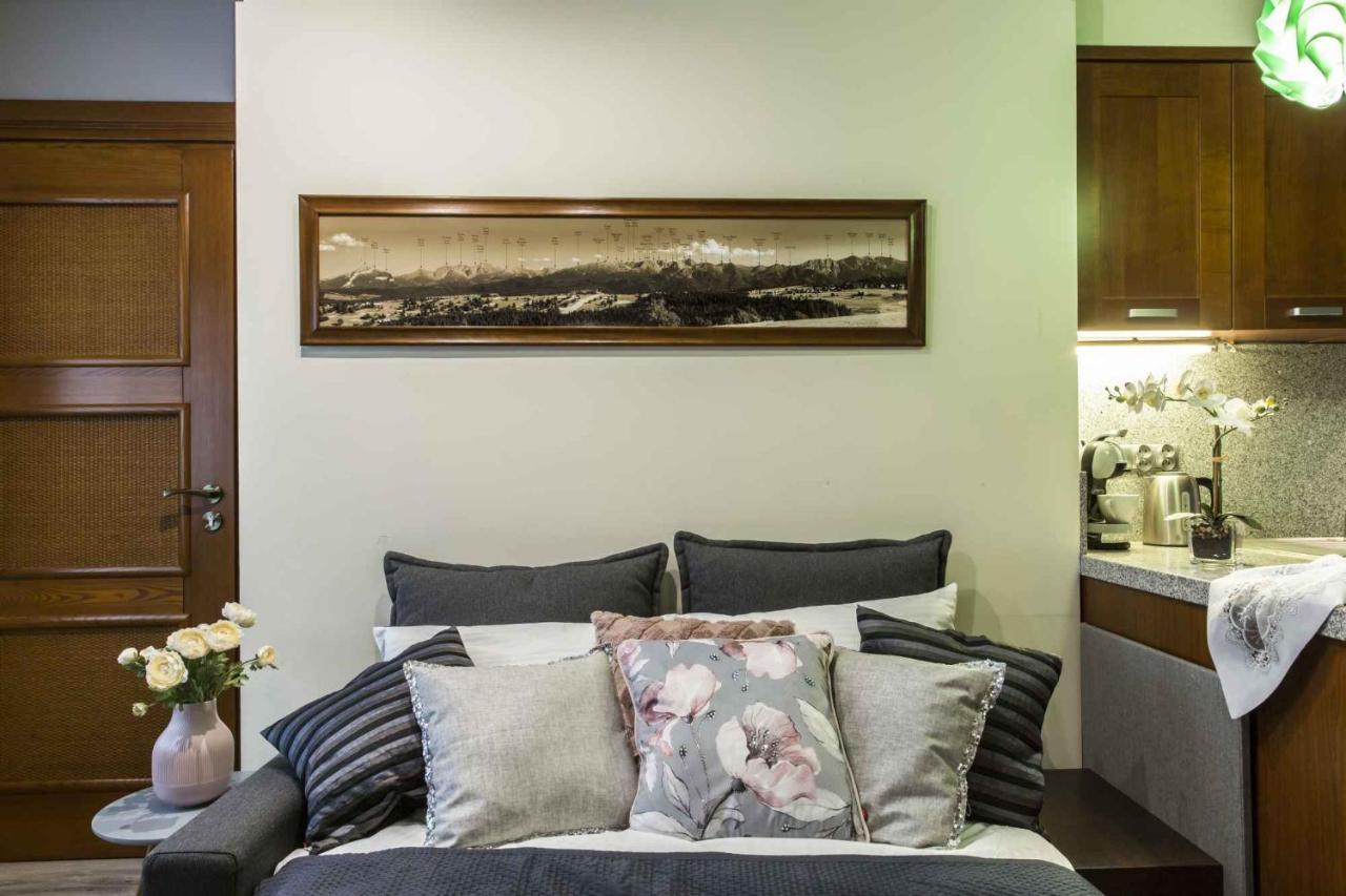 Apartament De Lux Cicha Woda Zakopane Buitenkant foto